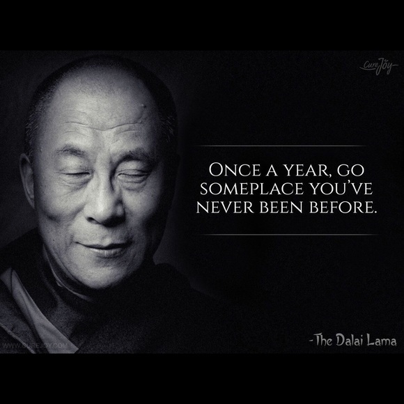 Meet your Posher, Violet - Picture 3 of 8